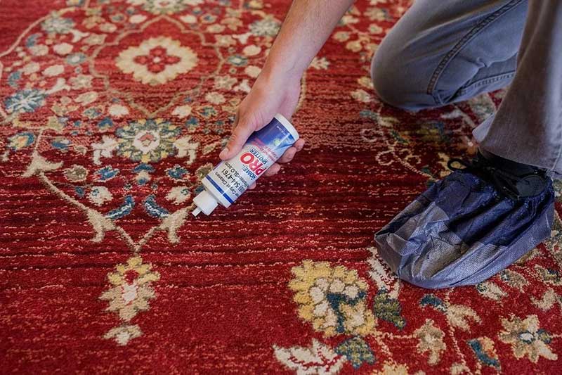 قالیشویی جهانشهر